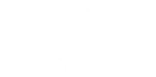 Partner brand