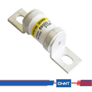 Chint Bolted Fuse